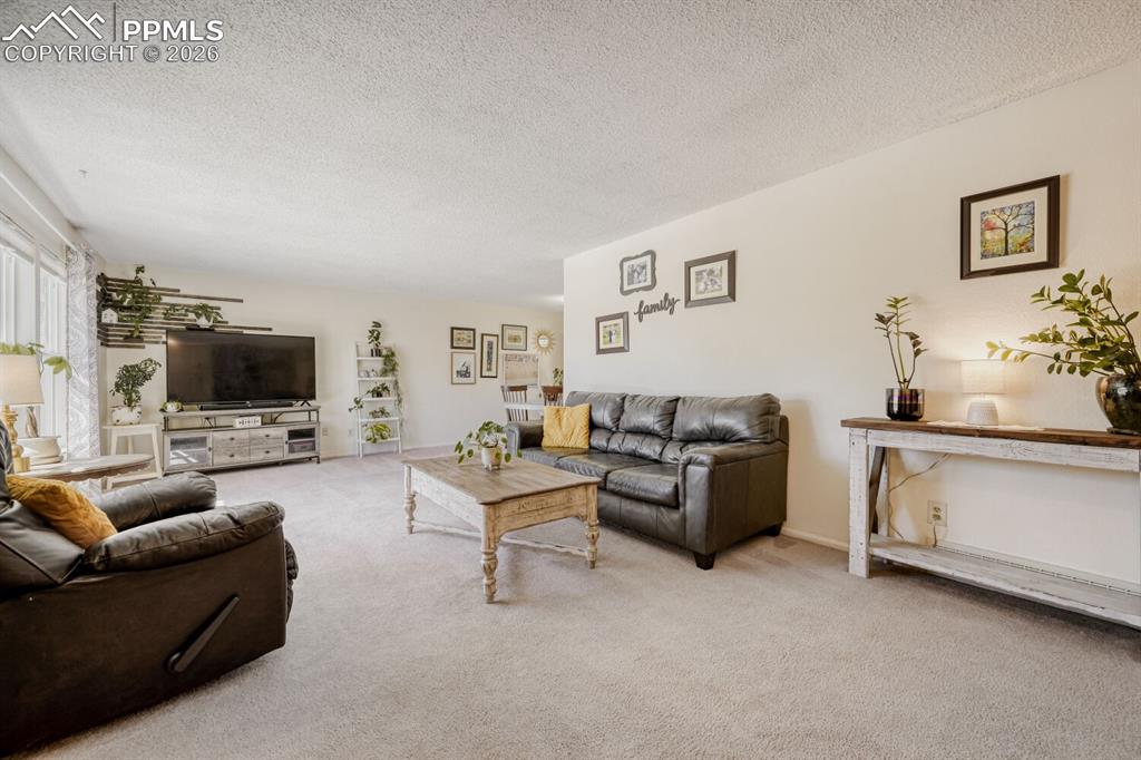3410 E Oak Creek Drive Colorado Springs CO 80906