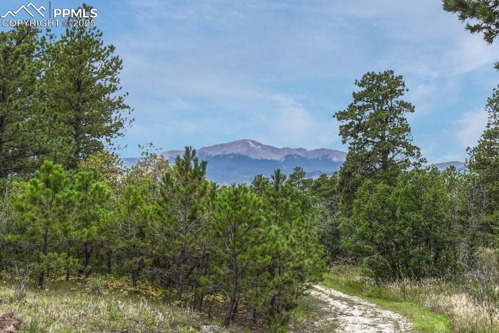 10625 Milam Road Colorado Springs CO 80908