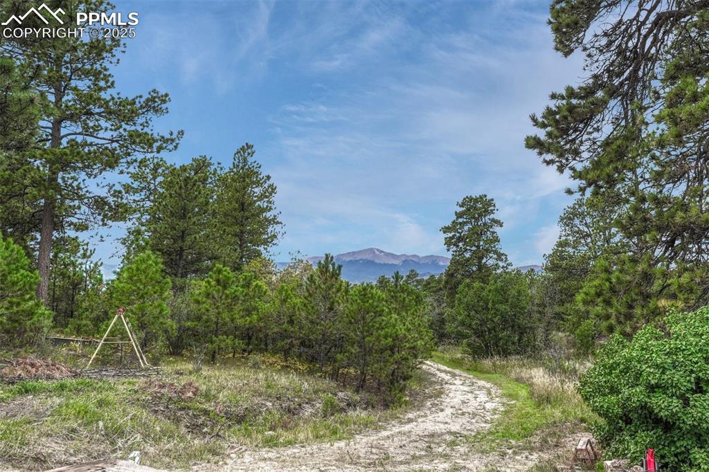 10625 Milam Road Colorado Springs CO 80908
