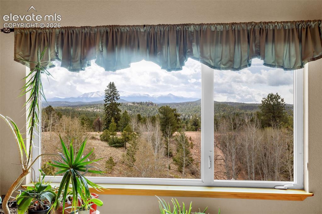 38 Kingston Drive Florissant CO 80816