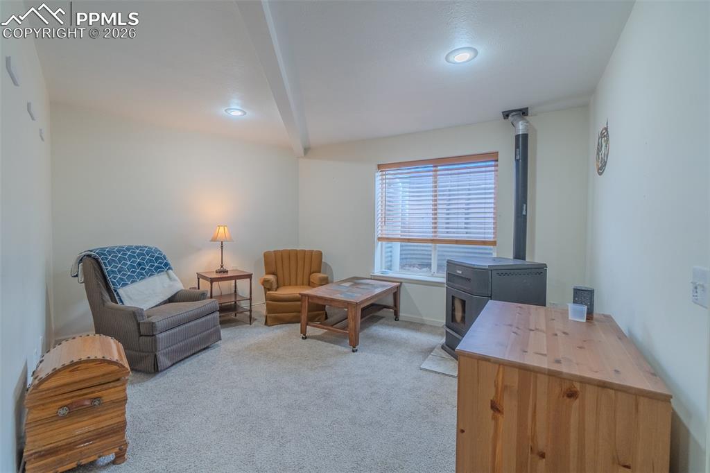 18 Sir Richard Drive Divide CO 80814