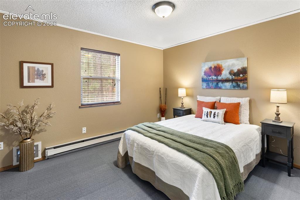 1303 W Midland Avenue Woodland Park CO 80863