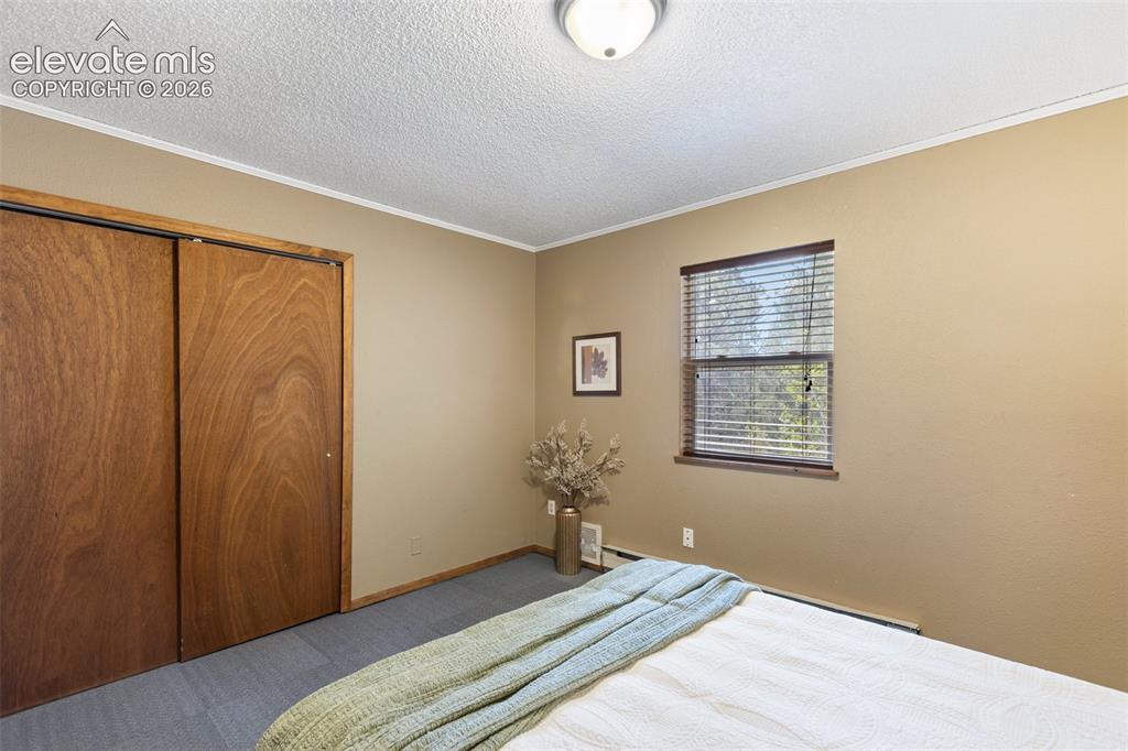1303 W Midland Avenue Woodland Park CO 80863