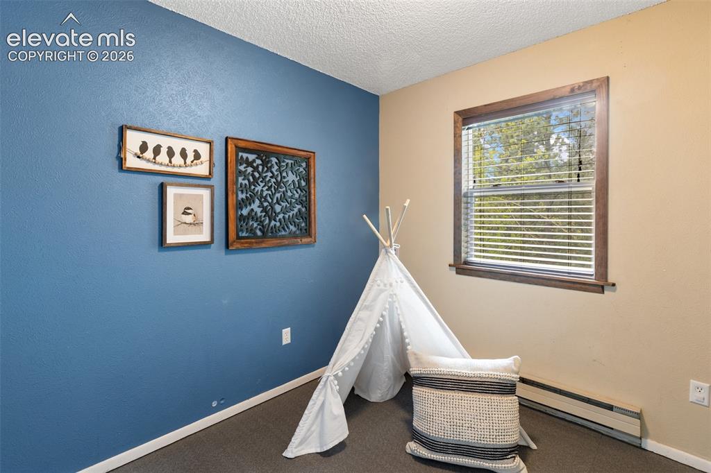 1303 W Midland Avenue Woodland Park CO 80863