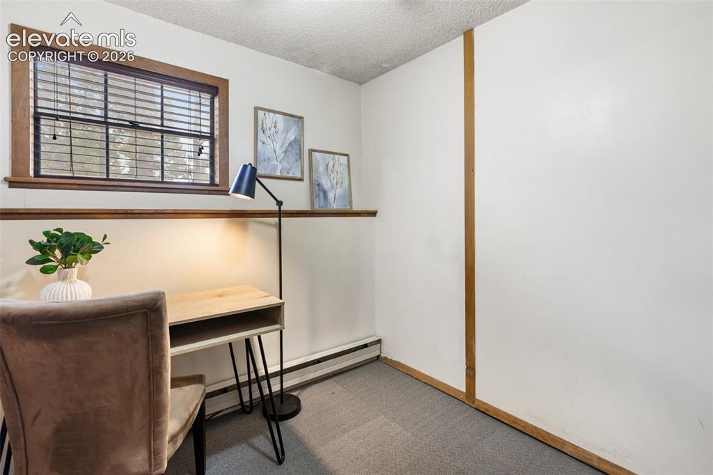 1303 W Midland Avenue Woodland Park CO 80863