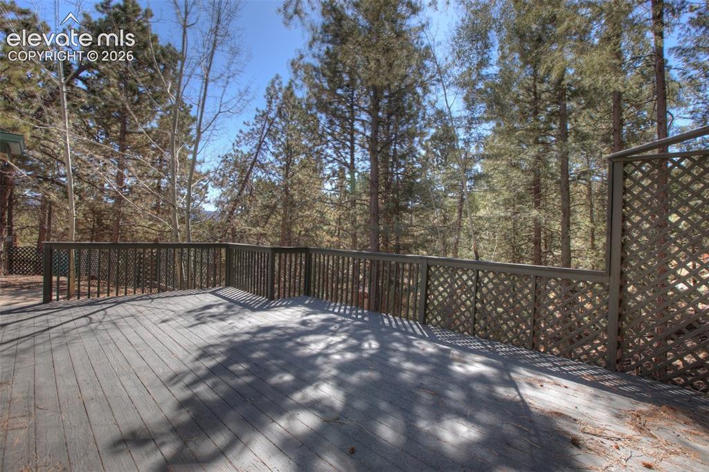 1303 W Midland Avenue Woodland Park CO 80863