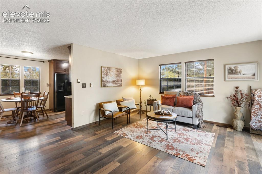 1303 W Midland Avenue Woodland Park CO 80863