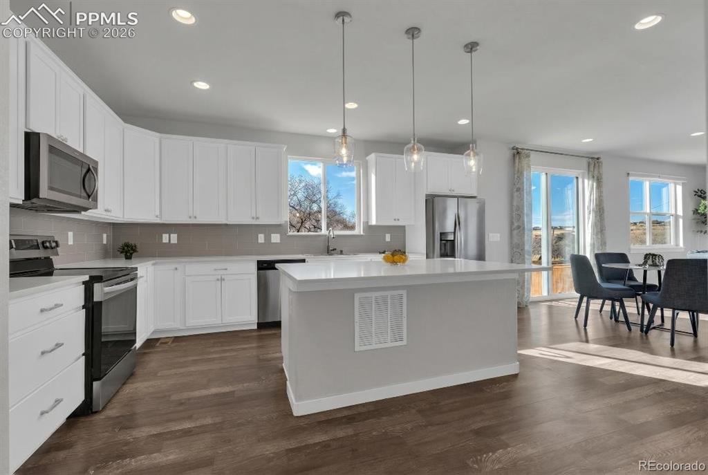1852 Blue Oak Court Castle Rock CO 80104
