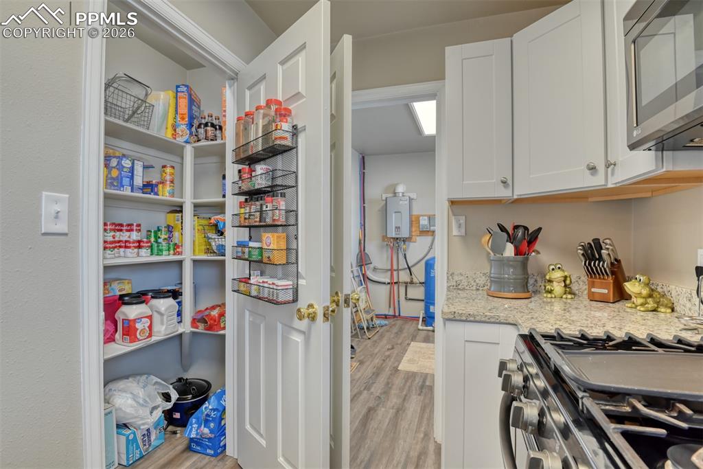 17 Garfield Circle Florissant CO 80816