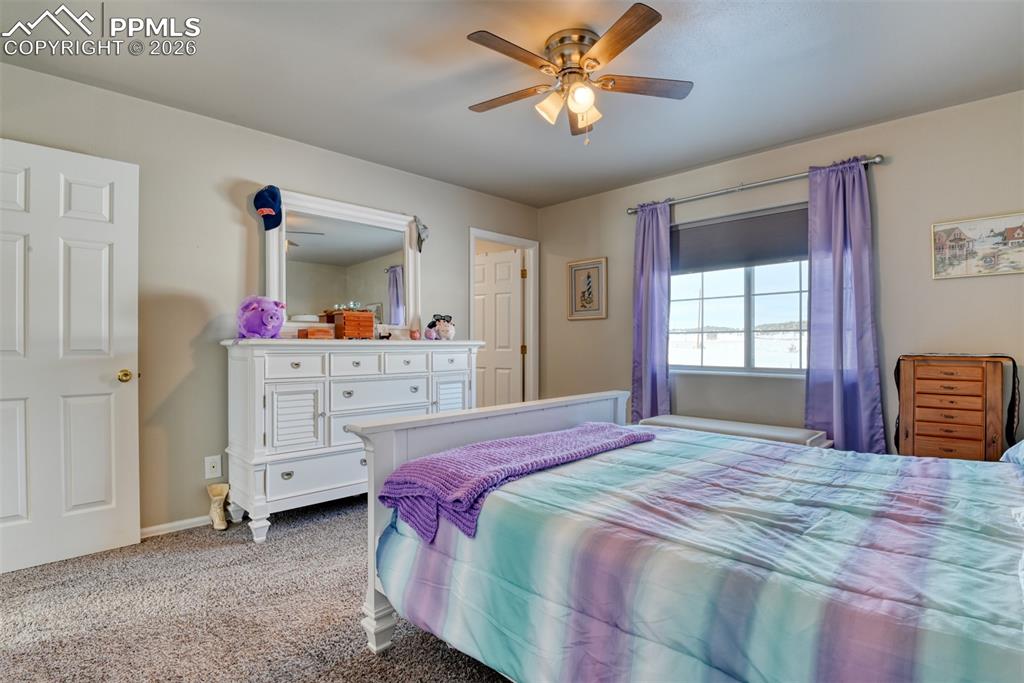 17 Garfield Circle Florissant CO 80816