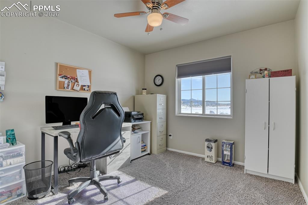 17 Garfield Circle Florissant CO 80816