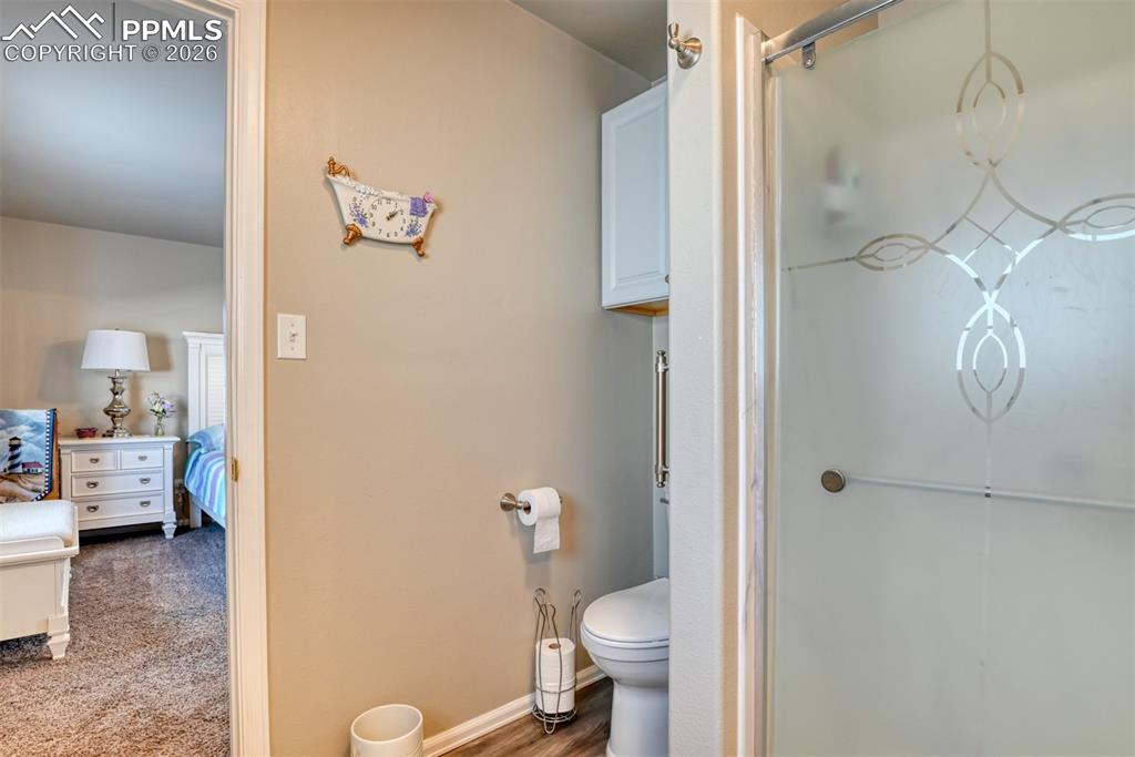 17 Garfield Circle Florissant CO 80816