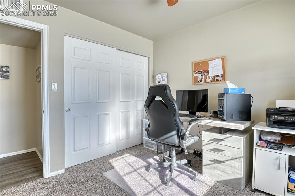 17 Garfield Circle Florissant CO 80816