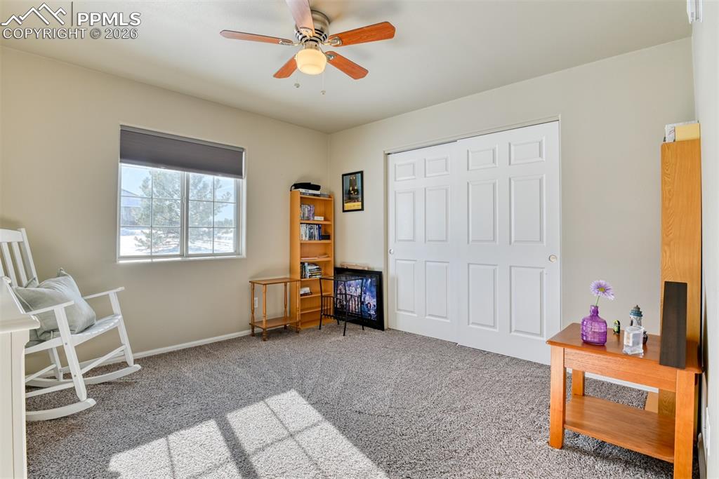 17 Garfield Circle Florissant CO 80816