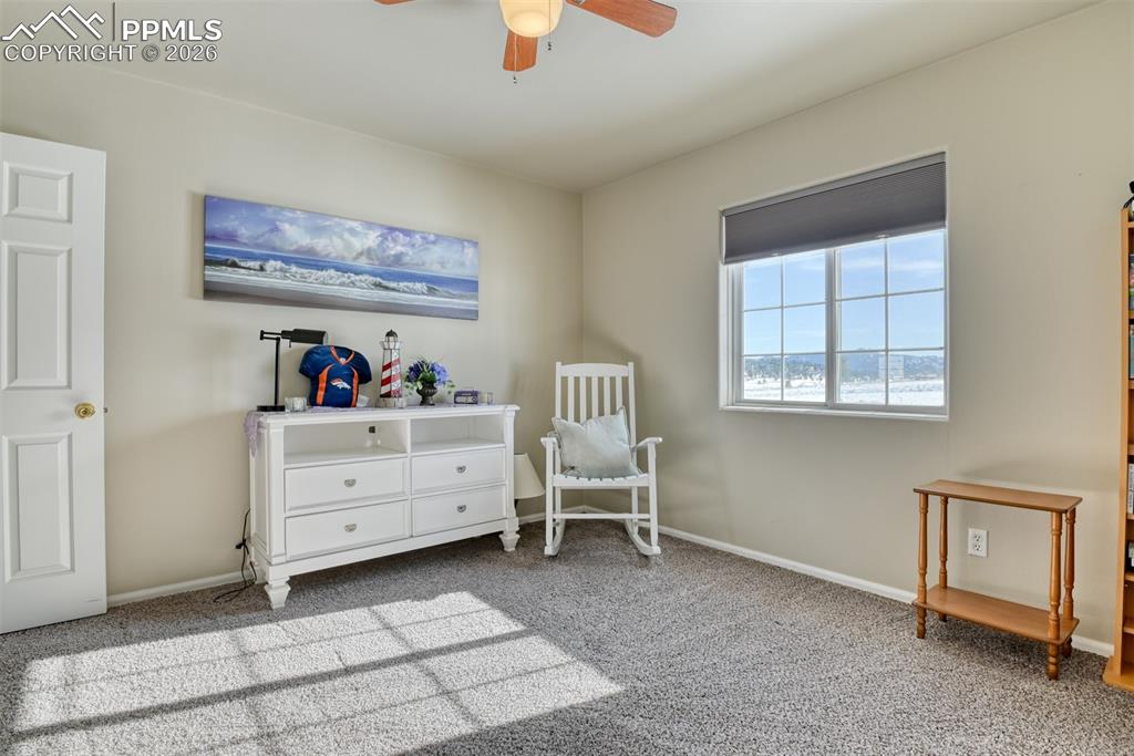 17 Garfield Circle Florissant CO 80816