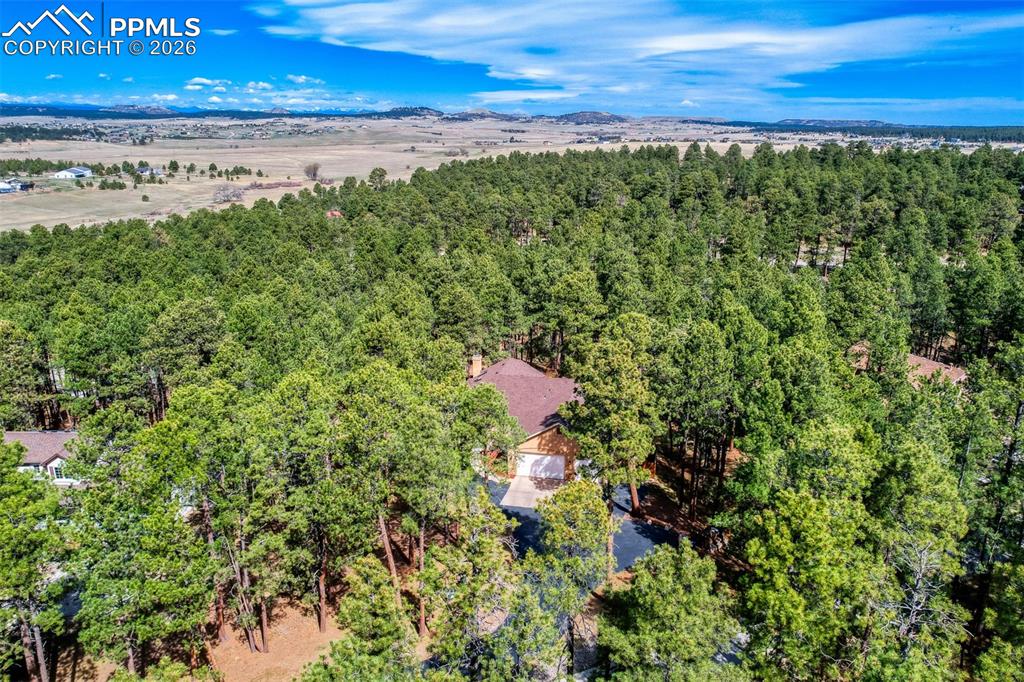 3550 Conecrest Lane Colorado Springs CO 80908
