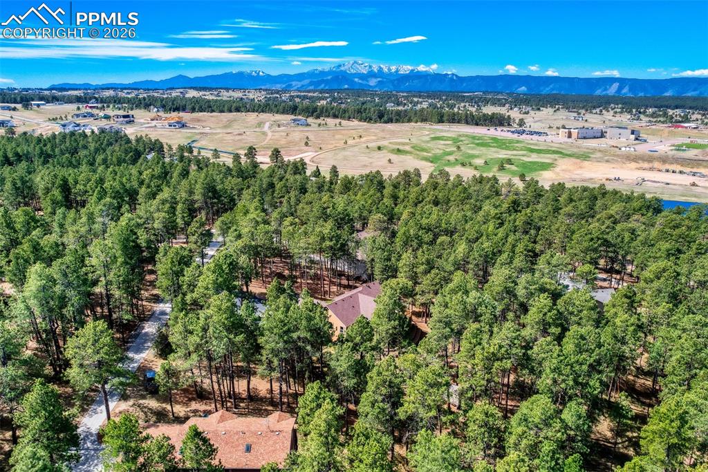 3550 Conecrest Lane Colorado Springs CO 80908