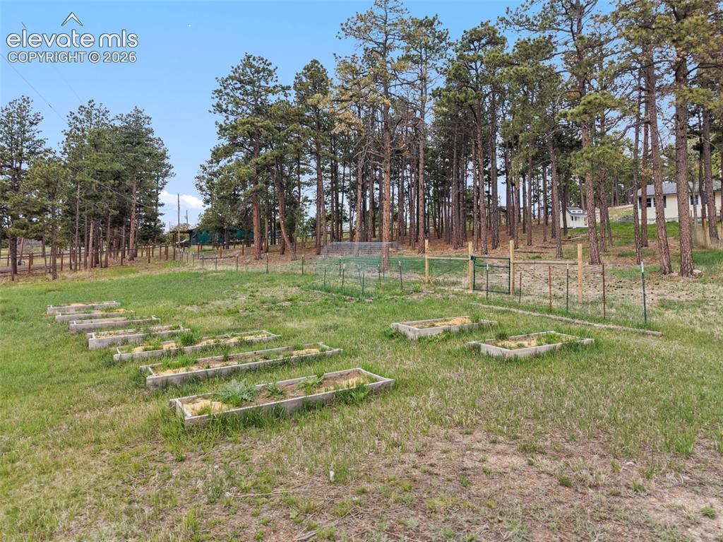 11760 Green Acres Lane Colorado Springs CO 80908