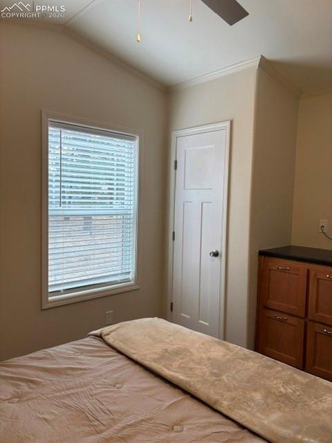 1141 Calm Mountain Point Woodland Park CO 80863