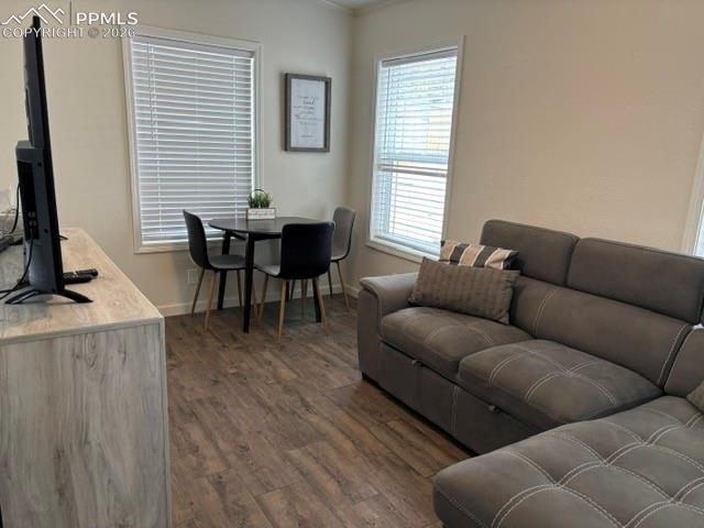 1141 Calm Mountain Point Woodland Park CO 80863