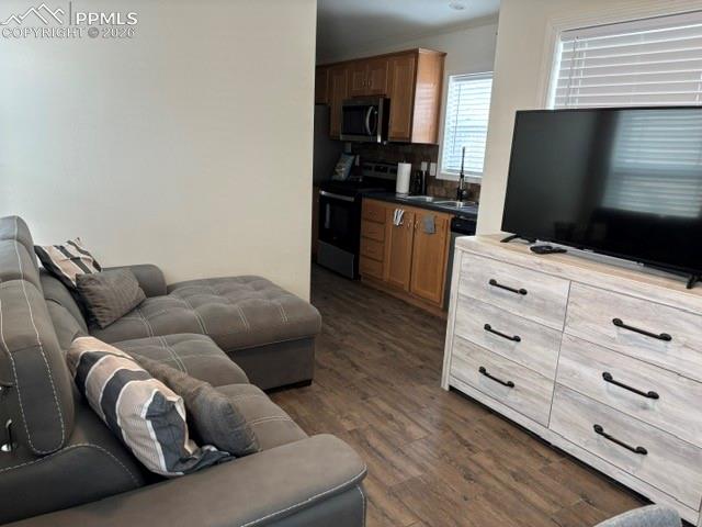 1141 Calm Mountain Point Woodland Park CO 80863
