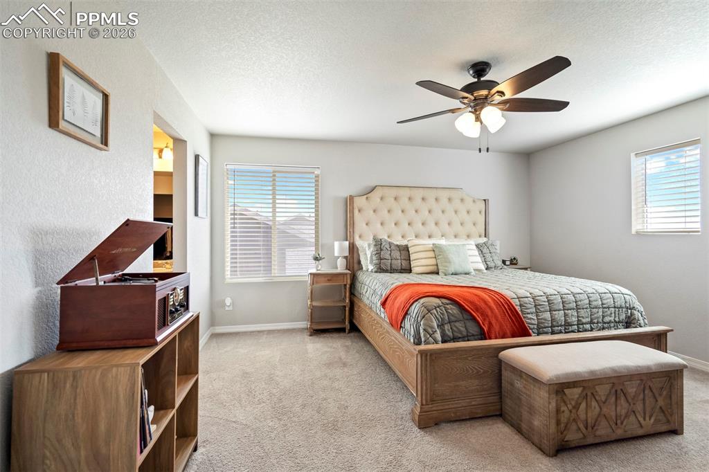 6015 Yamhill Drive Colorado Springs CO 80925