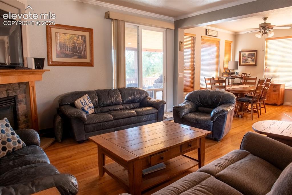 7331 Corsicana Drive Colorado Springs CO 80923