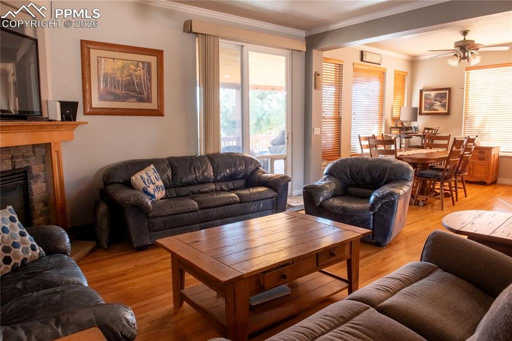 7331 Corsicana Drive Colorado Springs CO 80923