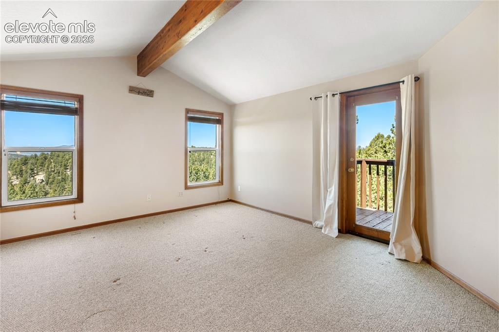 265 Homestead Road Divide CO 80814
