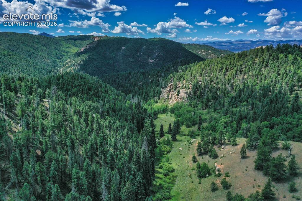 265 Homestead Road Divide CO 80814