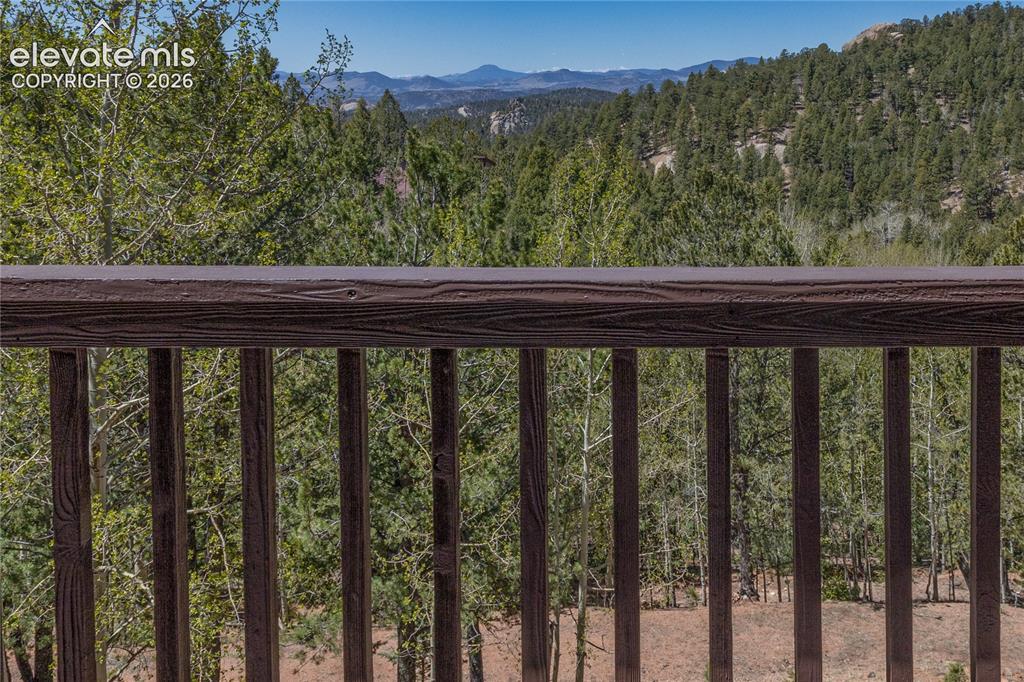 265 Homestead Road Divide CO 80814