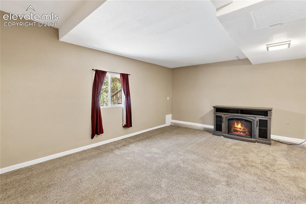 265 Homestead Road Divide CO 80814