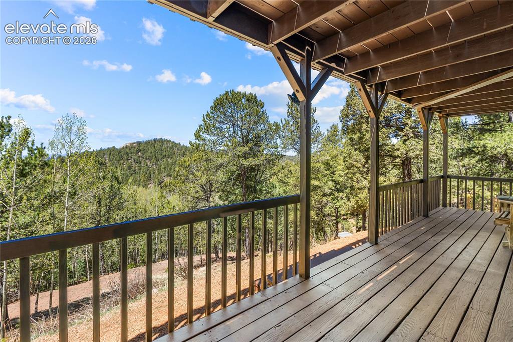 265 Homestead Road Divide CO 80814