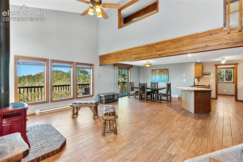 265 Homestead Road Divide CO 80814