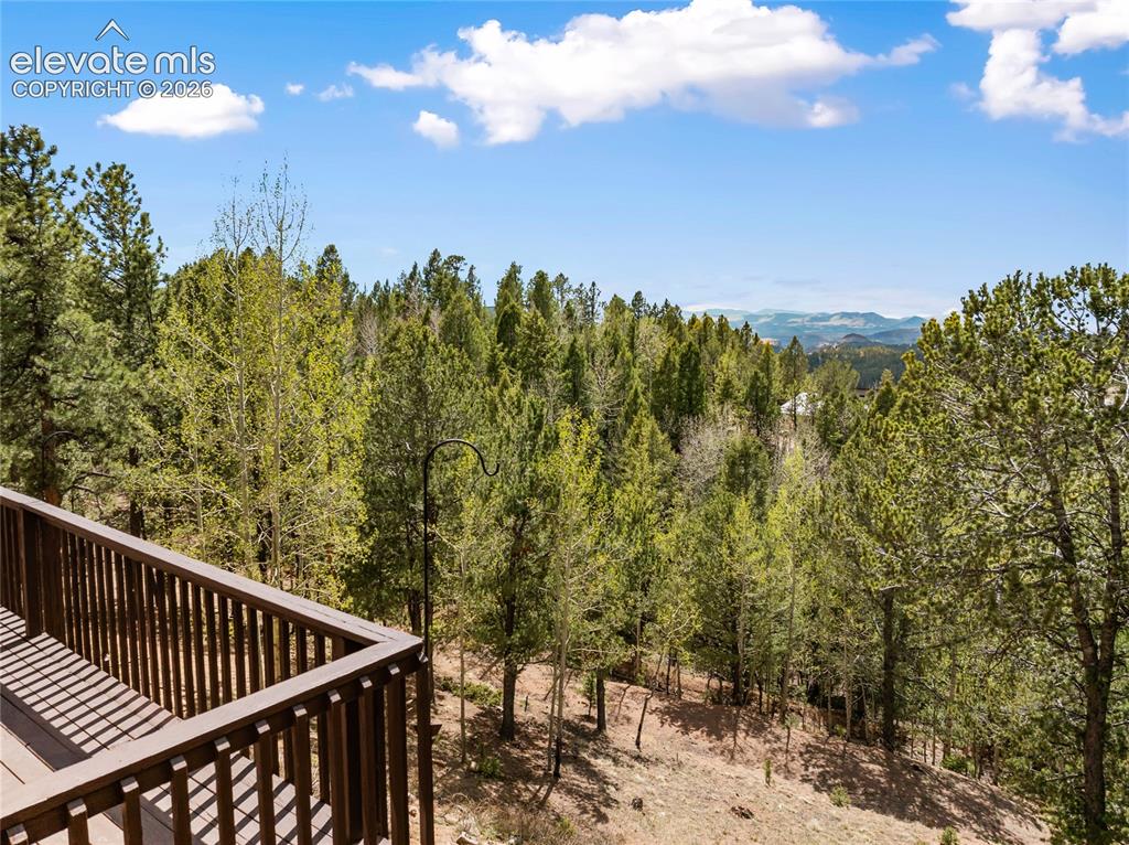 265 Homestead Road Divide CO 80814