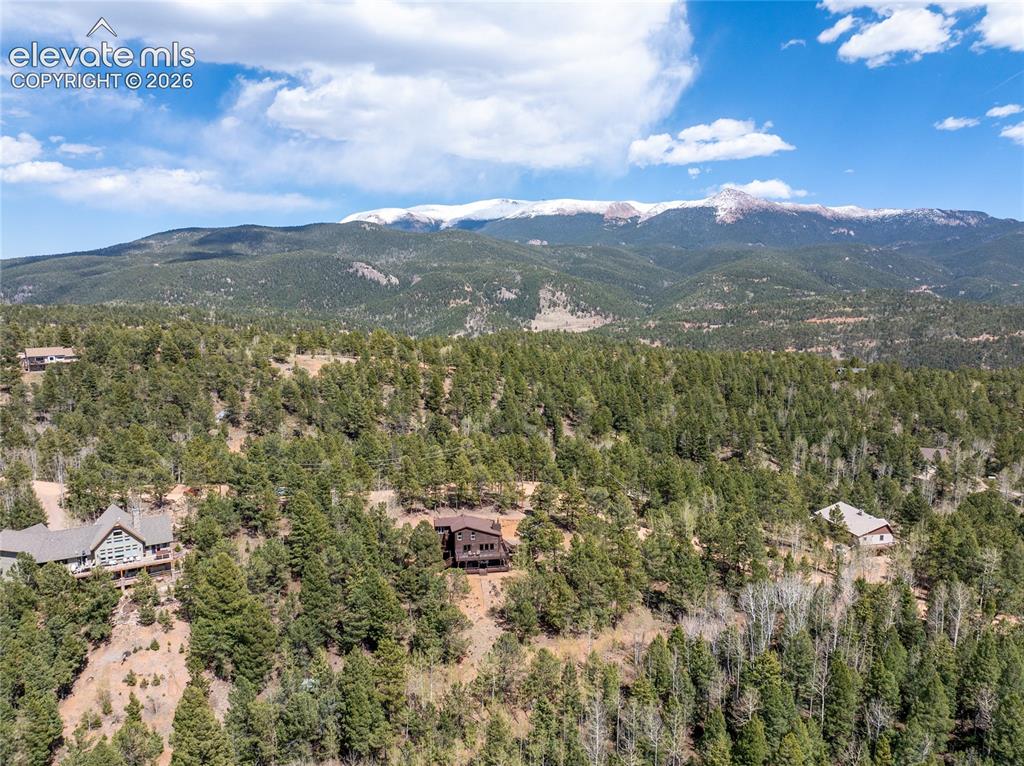 265 Homestead Road Divide CO 80814