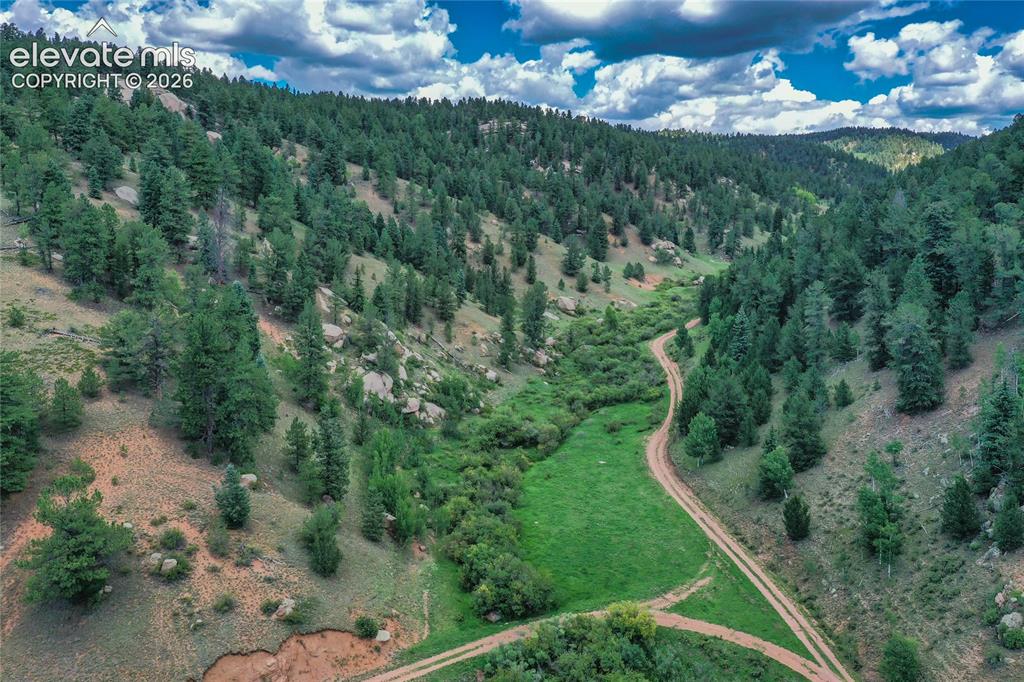 265 Homestead Road Divide CO 80814