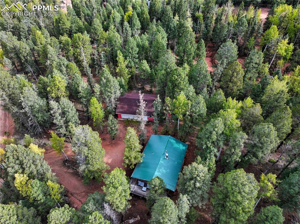 112 Denwood Drive Florissant CO 80816