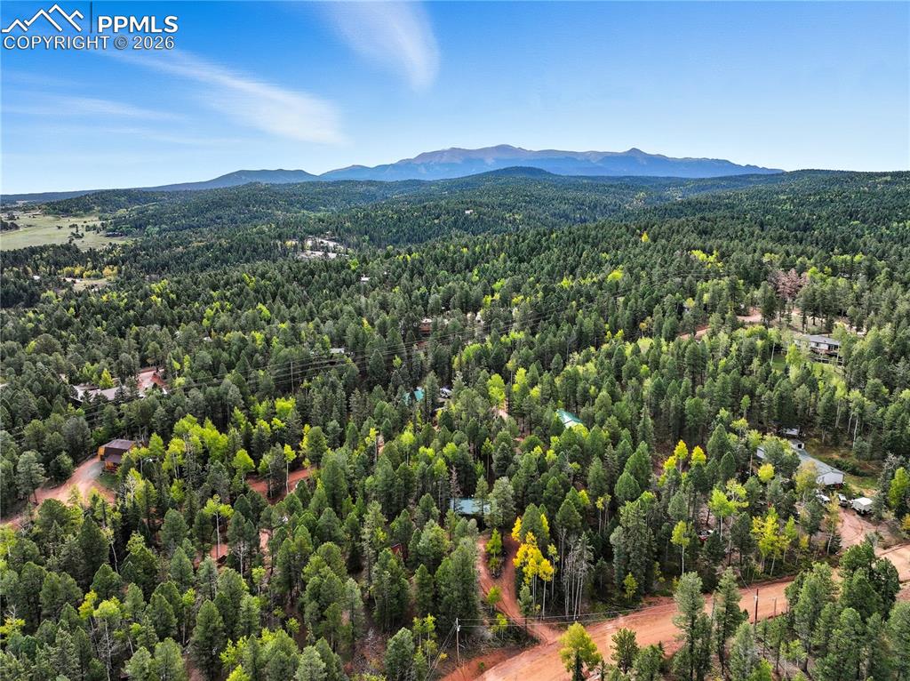 112 Denwood Drive Florissant CO 80816