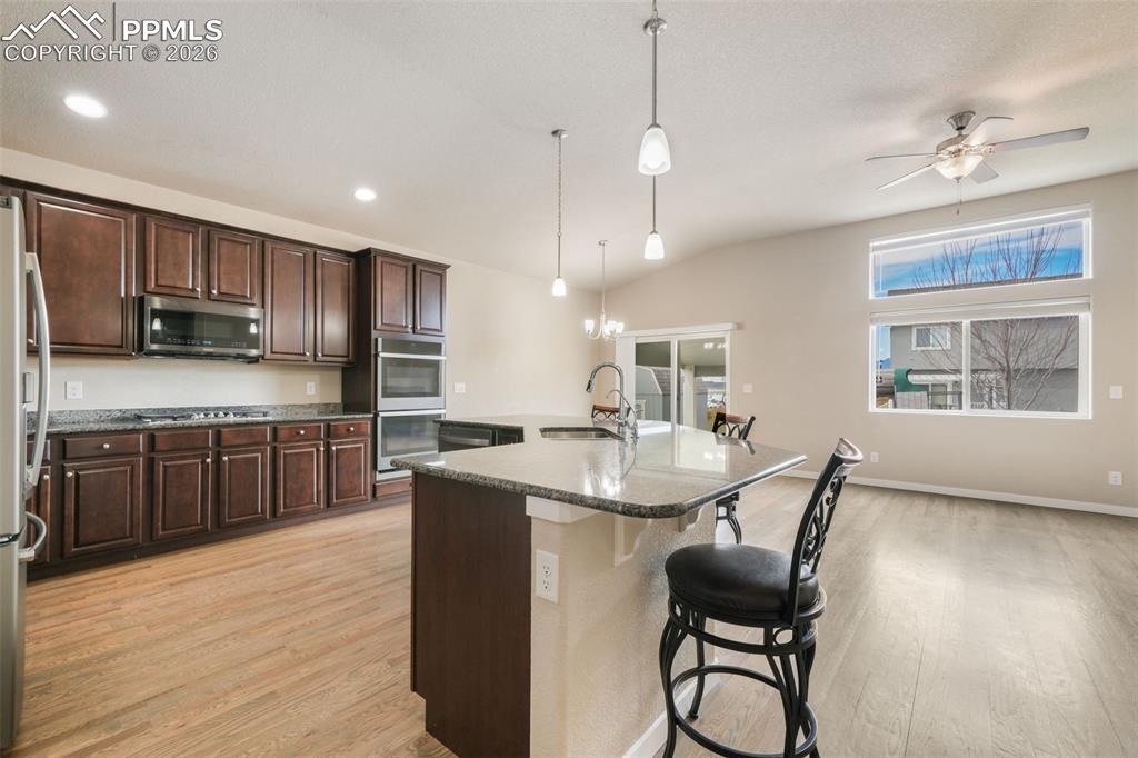 7296 Alpine Daisy Drive Colorado Springs CO 80925
