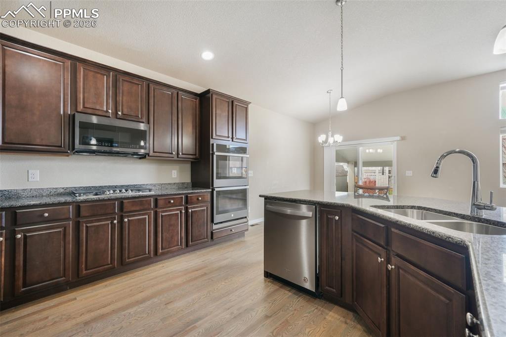 7296 Alpine Daisy Drive Colorado Springs CO 80925