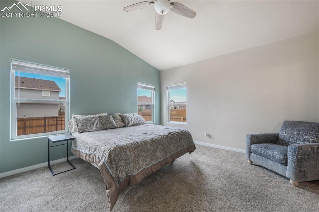 7296 Alpine Daisy Drive Colorado Springs CO 80925