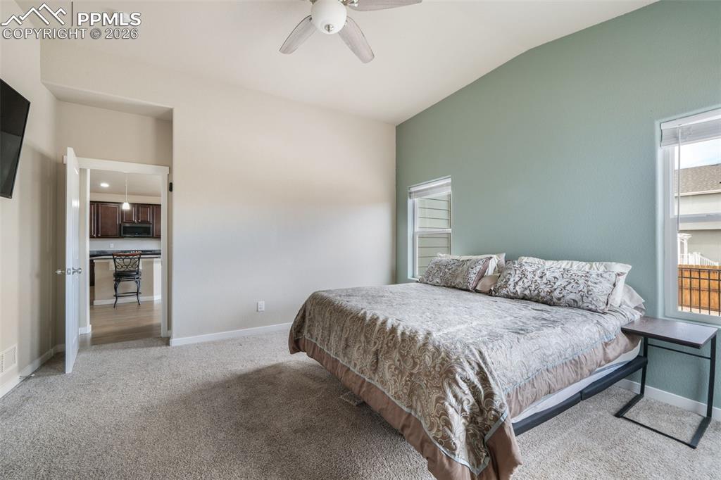 7296 Alpine Daisy Drive Colorado Springs CO 80925