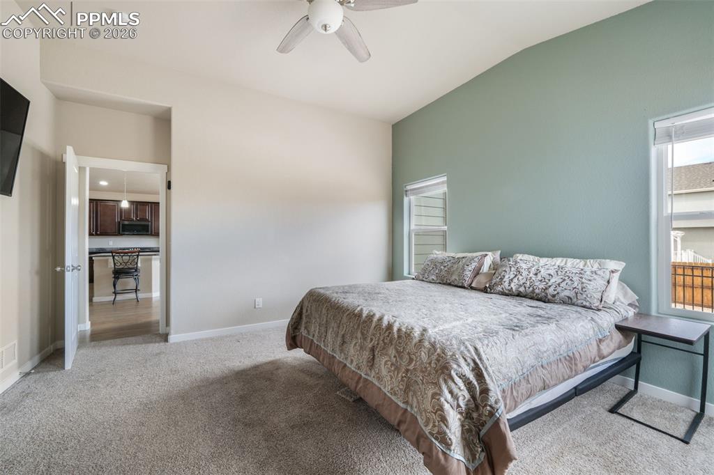 7296 Alpine Daisy Drive Colorado Springs CO 80925