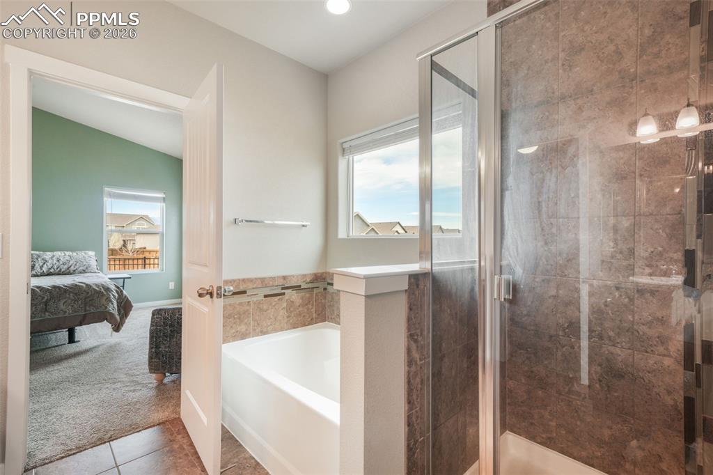 7296 Alpine Daisy Drive Colorado Springs CO 80925