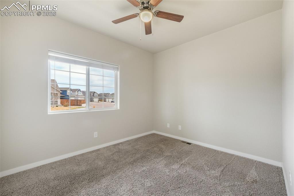 7296 Alpine Daisy Drive Colorado Springs CO 80925
