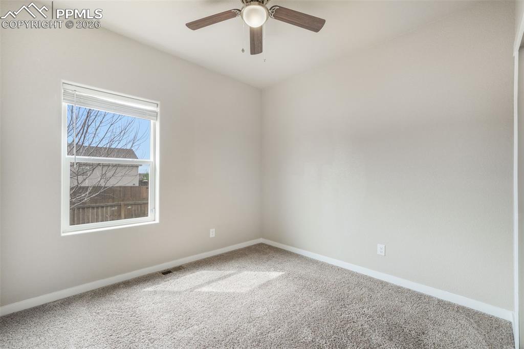 7296 Alpine Daisy Drive Colorado Springs CO 80925