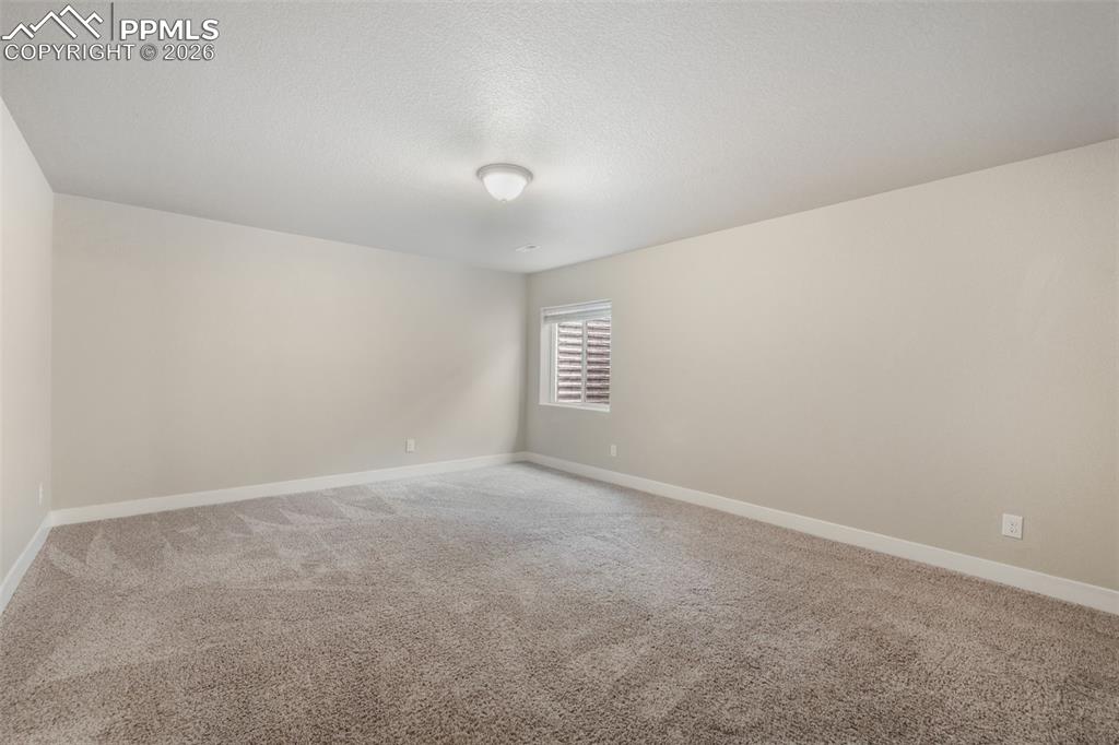 7296 Alpine Daisy Drive Colorado Springs CO 80925