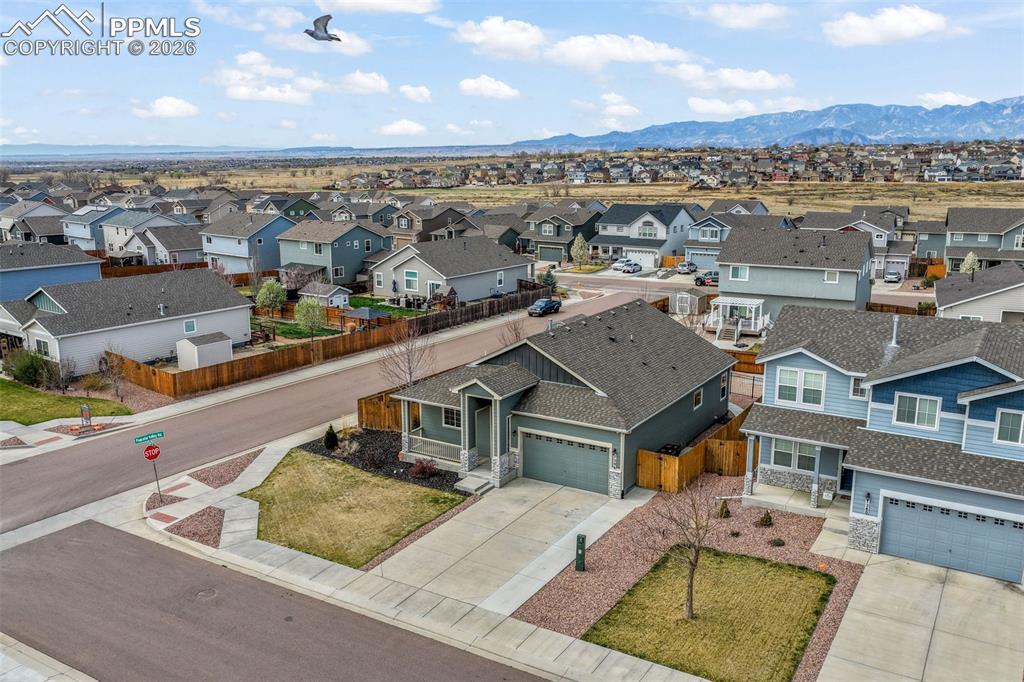 7296 Alpine Daisy Drive Colorado Springs CO 80925