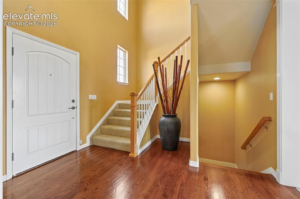 7334 Talimena Terrace Peyton CO 80831